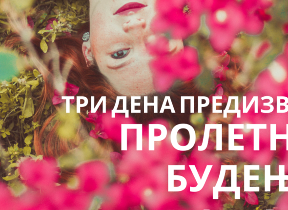 Untitled design (8)